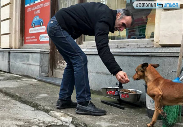 "აგრესიაზე აგრესიით, სიყვარულზე მეგობრობით გპასუხობენ" - ქუჩის ძაღლების ისტორია 