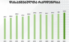 2023 წელს სახელმწიფო სექტორში დასაქმებულთა რაოდენობამ,  ბოლო 10 წლის რეკორდი, შეადგინა